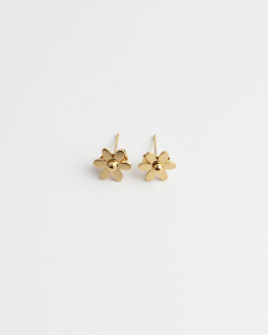 Daisy Flower - Stud - Oorbellen - Stainless Steel