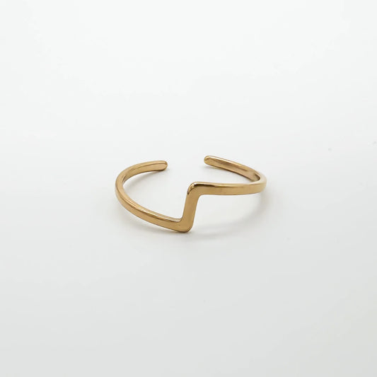 Robin - Ring - Stainless Steel - Verstelbaar